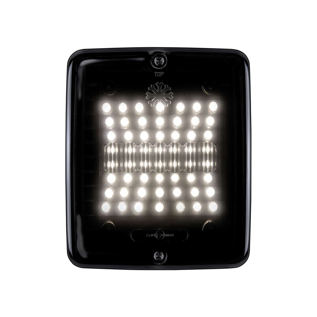 IZELED Dark Knight - Reverse Light