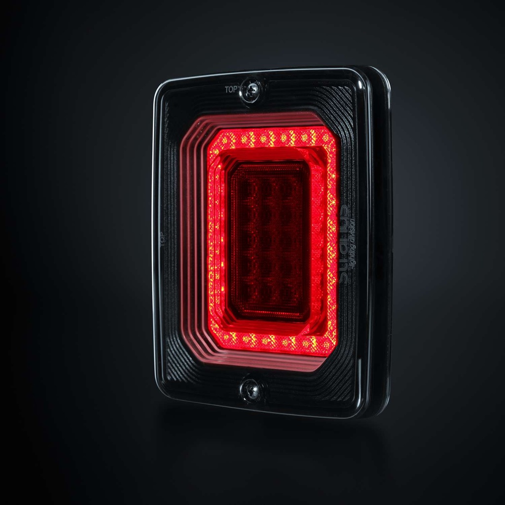 FOR9T ILLUSION Reverse/Fog Light